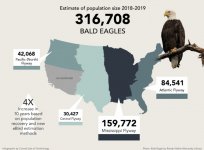 Eagle Flyway.jpg