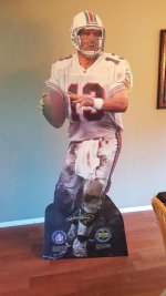 dan-marino-lifesize-cardboard-cutout_1_134093beb7b29b1f43810f2e81f3a873.jpg