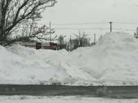 IMG_1172.jpeg