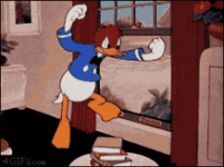 1740078236789.png