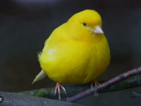 1740354644220.png