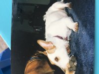 IMG_4560.jpeg