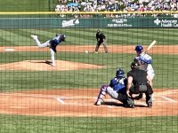 IMG_9297.jpeg