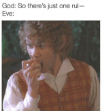 god-so-theres-just-one-rul-eve.png
