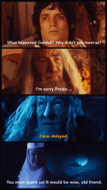 gandalf-why-didnt-meet-us-sorry-frodo-delayed-filmbuffbrony-must-spank-us-would-be-wise-old-fr...png
