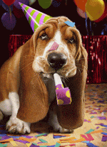 a24e15841ea1c63aa1ddc8a9ab5bf168.gif
