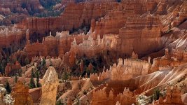 IMG_4458.jpeg