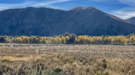 IMG_7984.jpeg