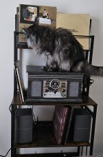 20250228_091244.jpg
