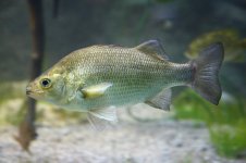 IMG_3012.jpeg