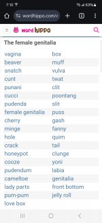 Screenshot_20250316_191016_Chrome.jpg