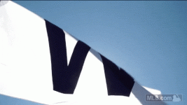 1742321045617.gif