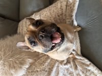 IMG_3730.jpeg