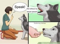 1742511335902.jpeg