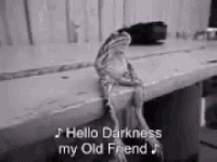 1742598744429.gif