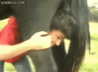1000009203.gif