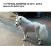 1000020293.jpg