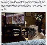 1743121022556.jpeg