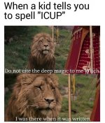 1743234300588.jpeg