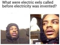 1000020349.jpg