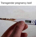 1743285806679.png