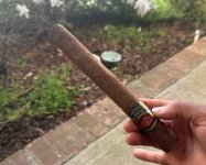 IMG_2984.jpeg
