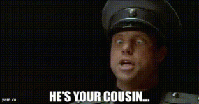 1744077297500.gif
