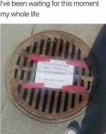 1000020645.jpg