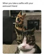 1744210951245.jpeg