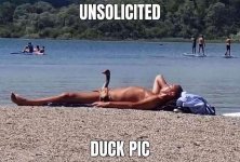 1000020694.jpg