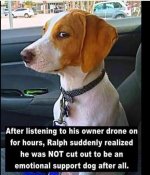 FB_IMG_1743961322122.jpg