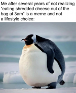 1744383047055.png
