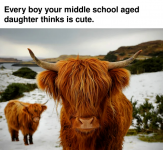 1744386240896.png