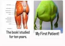 1744390588724.jpeg