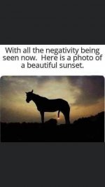1000020722.jpg