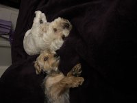 IMG_0122.jpeg