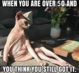 1744566073996.png