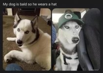 1744659680811.jpeg