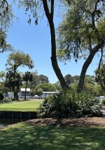 IMG_9618.jpeg