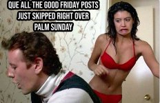 IMG_8736.jpeg