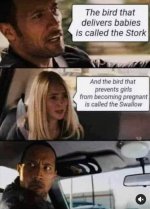 IMG_8751.jpeg