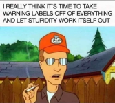 1745282383585.png