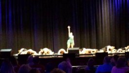 IMG_20181216_125403.jpg