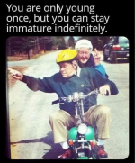 1745293776585.png