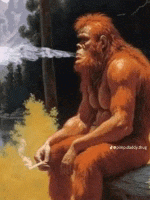 1745511044356.gif