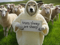 1745642610208.png
