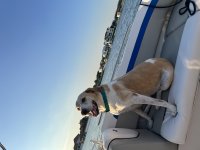 IMG_2999.jpeg
