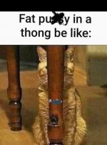 IMG_8799.jpeg