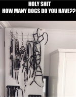 1746142373592.png