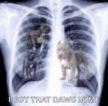 got-that-dog-in-him.png